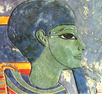 ster.jpg (21832 bytes)